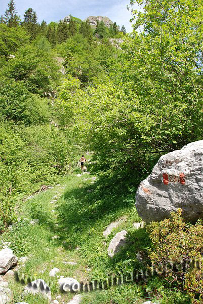09 04834.JPG